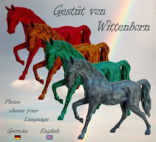 Gestüt von Wittenborn - Please choose your Language
